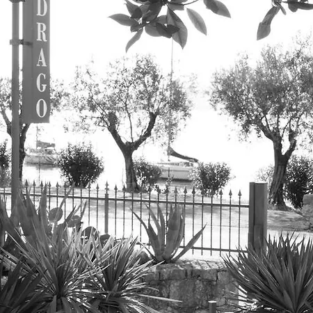 Drago Brenzone sul Garda