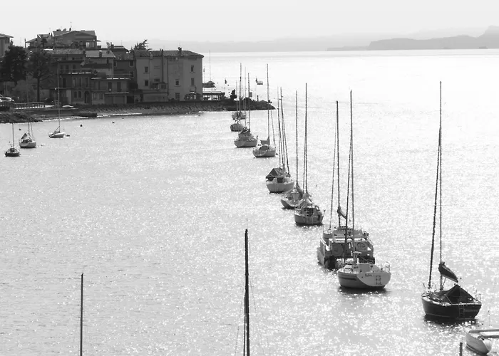 Drago Brenzone sul Garda