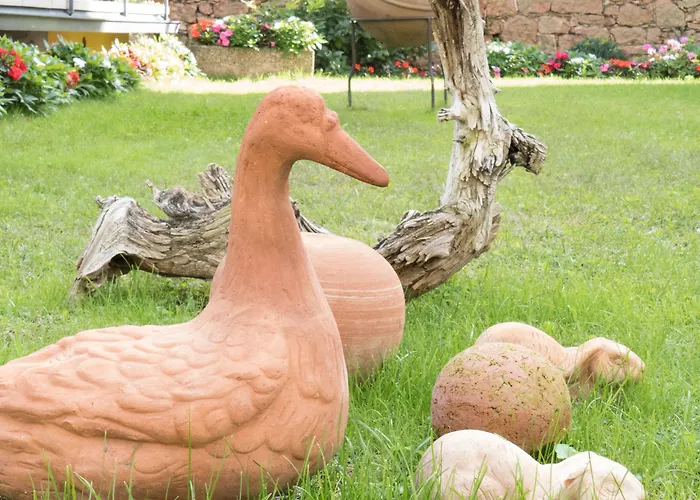 Drago Otel Brenzone sul Garda