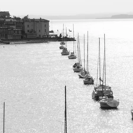 Drago برنزوني سول جاردا